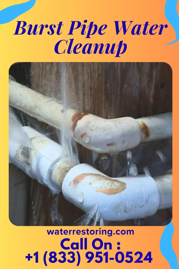 Burst Pipe Water Cleanup in Mazeppa, MN