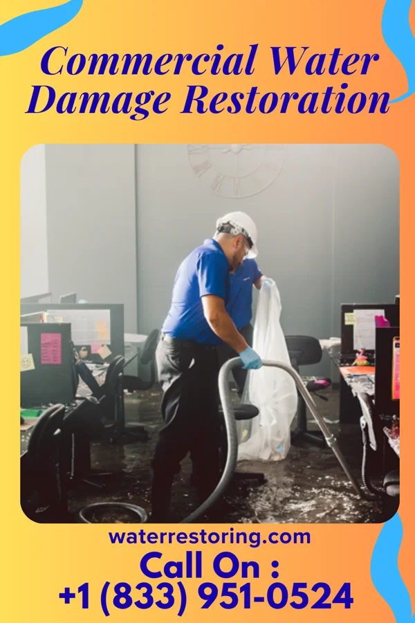 Commercial Water Damage Restoration in Mazeppa, MN