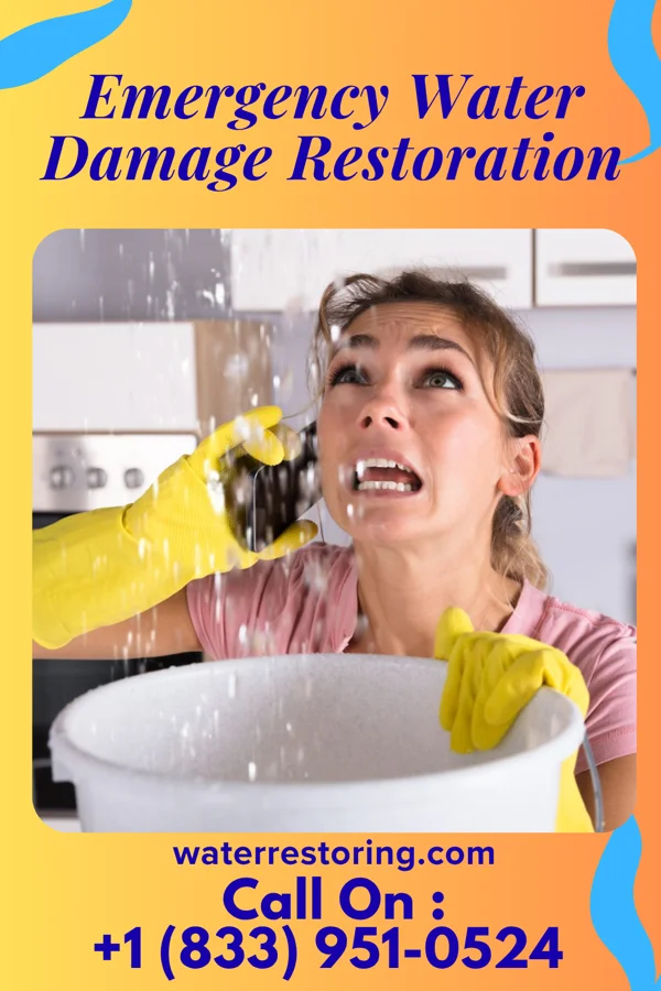 Emergency Water Damage Restoration in Mazeppa, MN