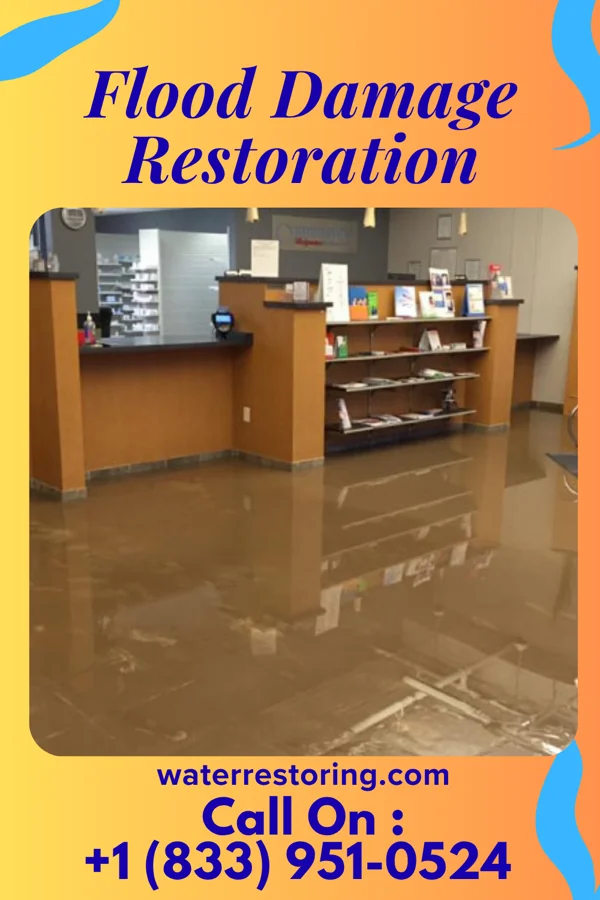 Flood Damage Restoration in Mazeppa, MN