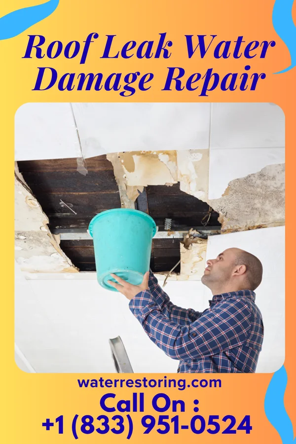 Roof Leak Water Damage Repair in Mazeppa, MN