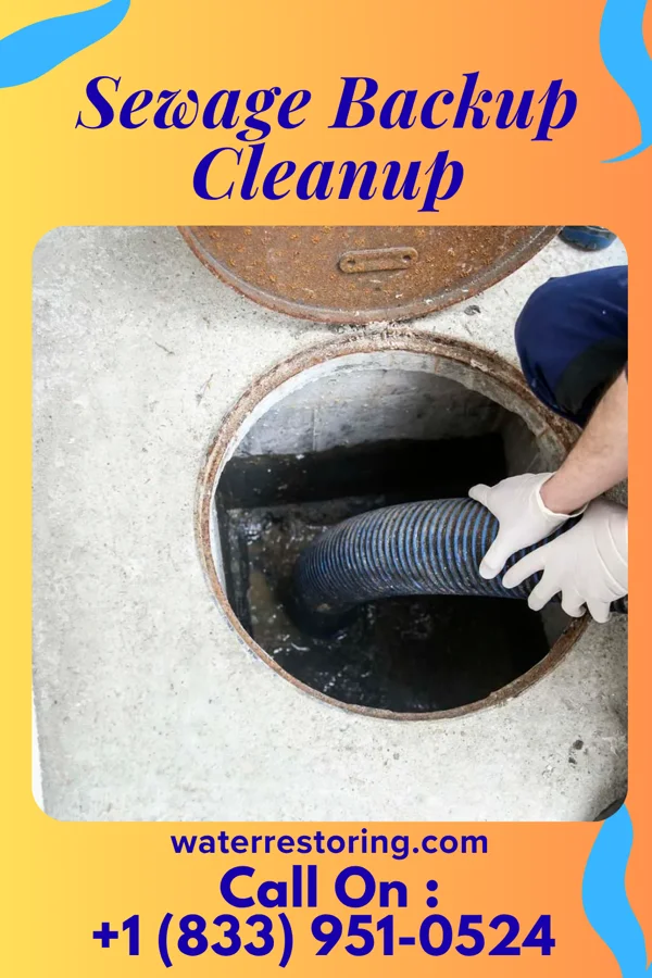 Sewage Backup Cleanup in Mazeppa, MN